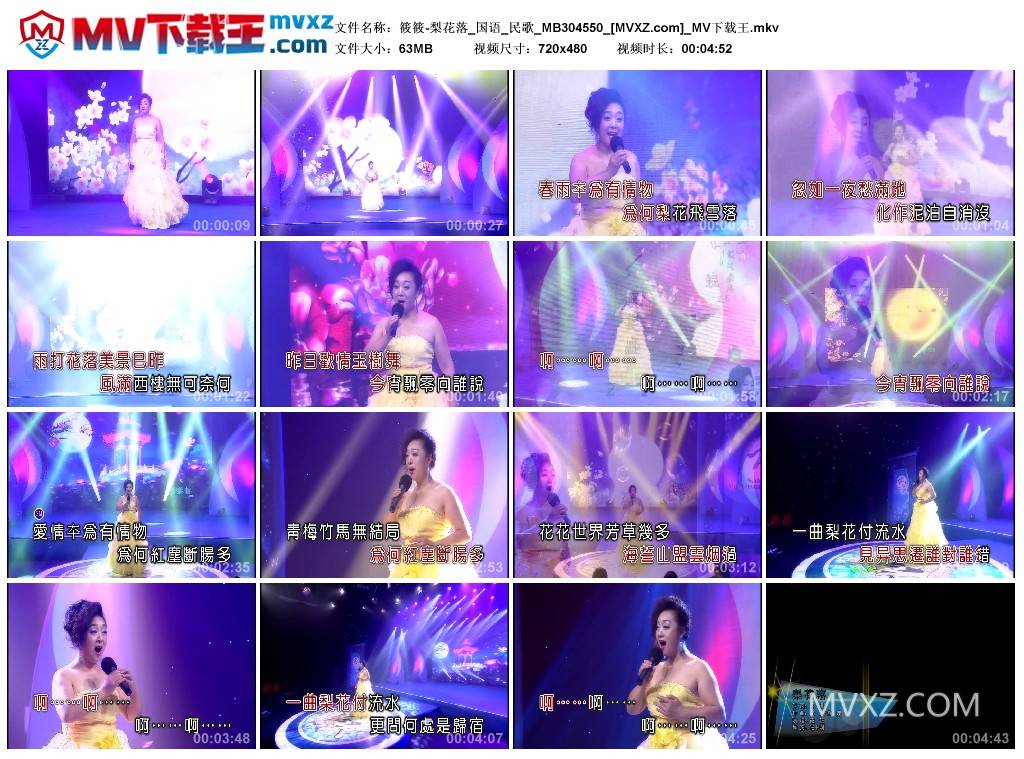 筱筱-梨花落_国语_民歌_MB304550